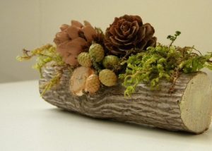 yule-log