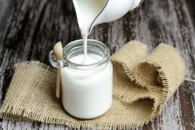 Fertility Superfoods